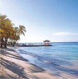 Plage de Sainte-Anne bordée de palmiers, sur le parcours Grande-Terre